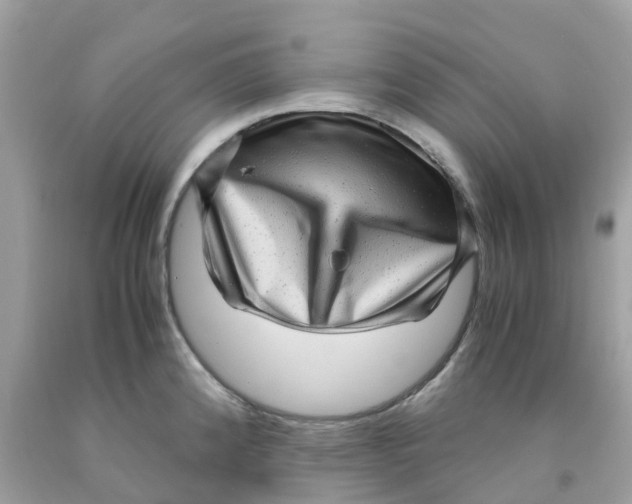 X0000091101192200709041317