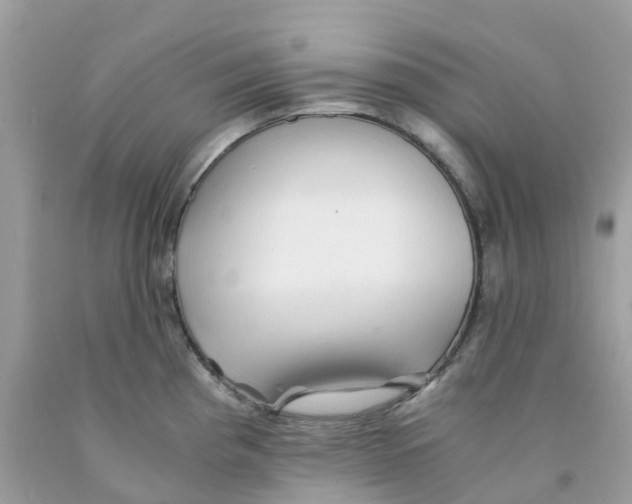 X0000091101193200709041317