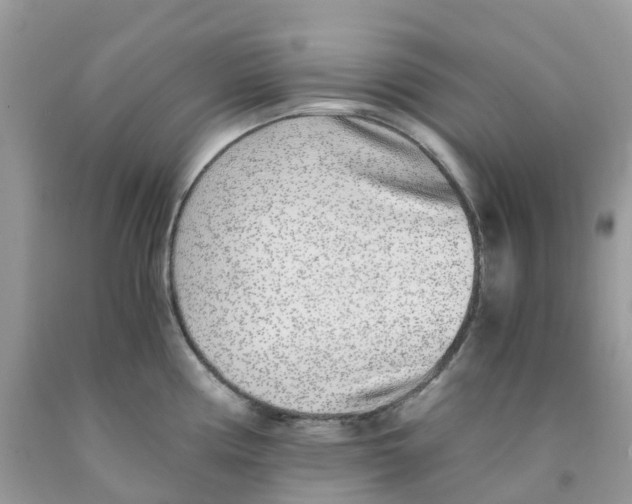 X0000091101194200709041317