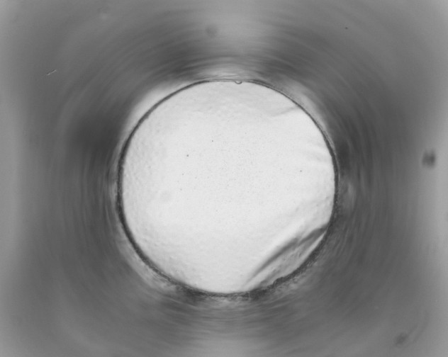 X0000091101195200709041317