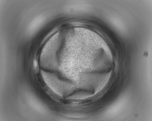 X0000091101198200709041317