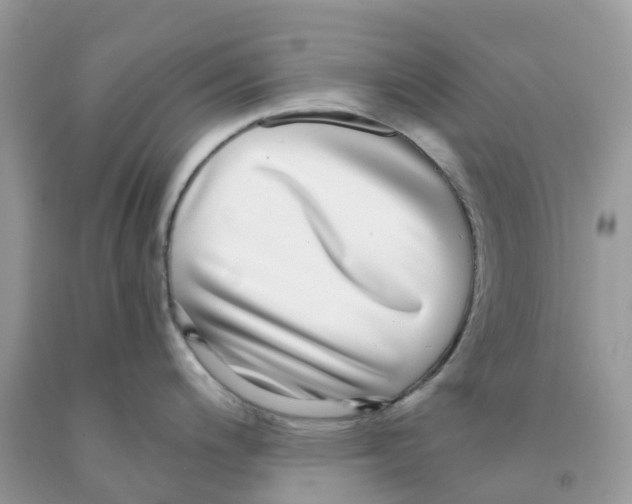 X0000091101200200709041317