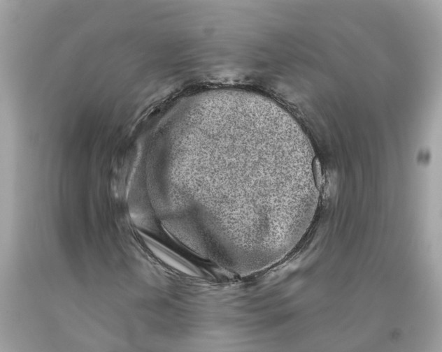 X0000091101202200709041316