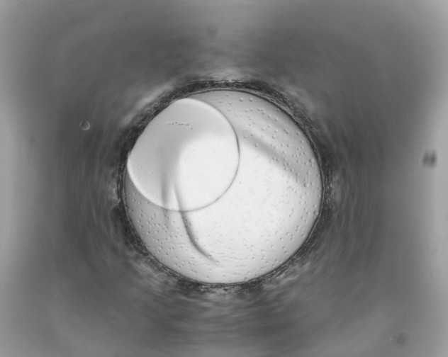 X0000091101205200709041316