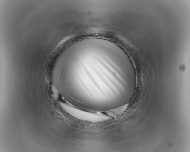 X0000091101206200709041316