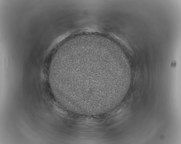 X0000091101207200709041316