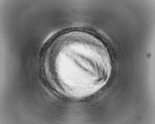 X0000091101208200709041316