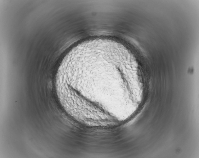 X0000091101209200709041316