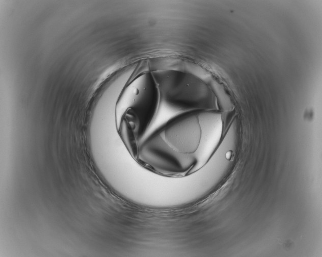 X0000091101210200709041316