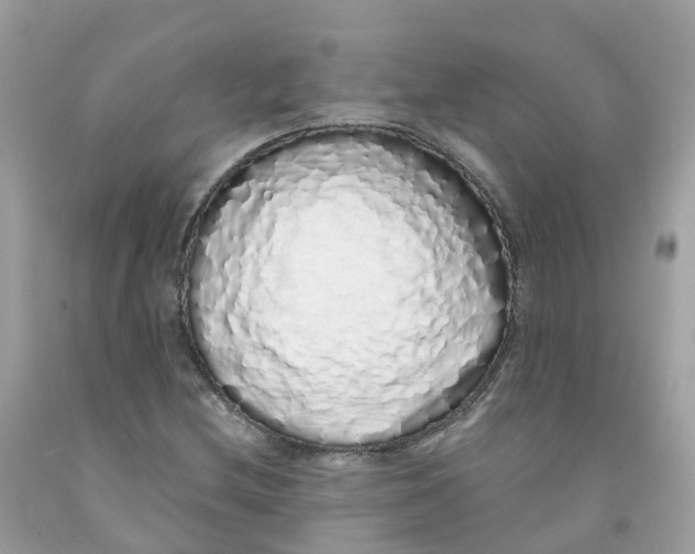 X0000091101212200709041316