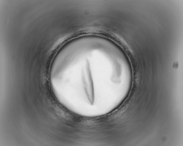 X0000091101213200709041316