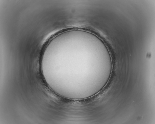 X0000091101214200709041316