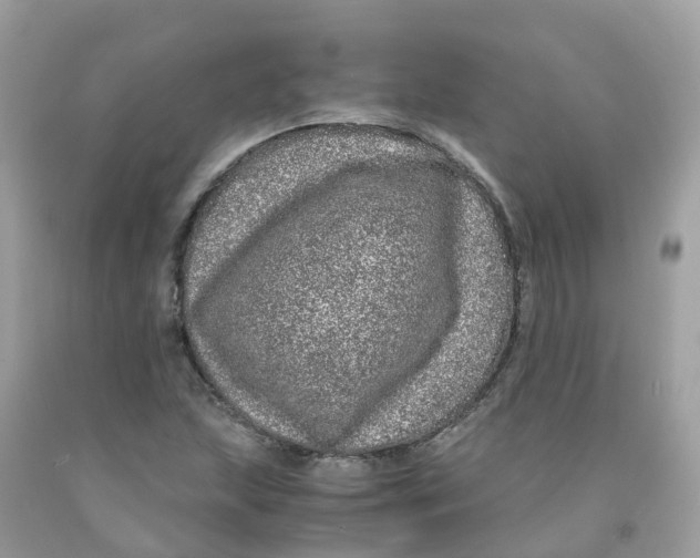 X0000091101215200709041316