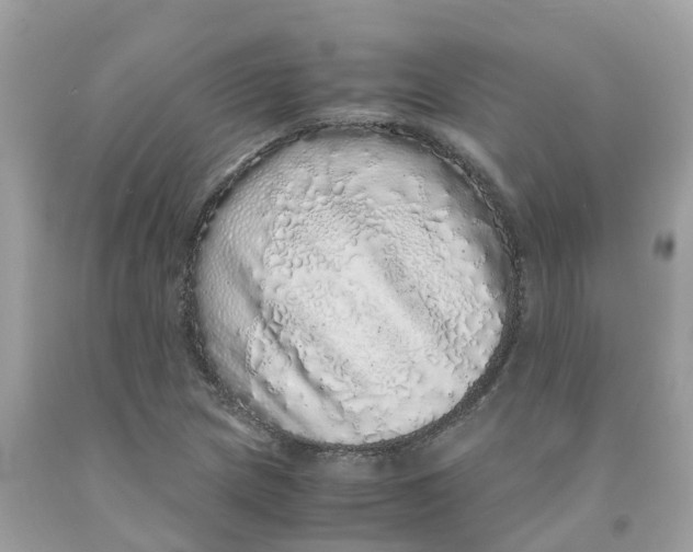 X0000091101217200709041316