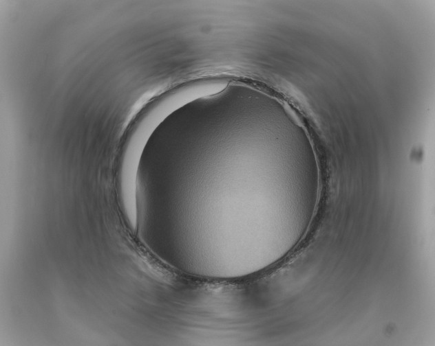 X0000091101218200709041316