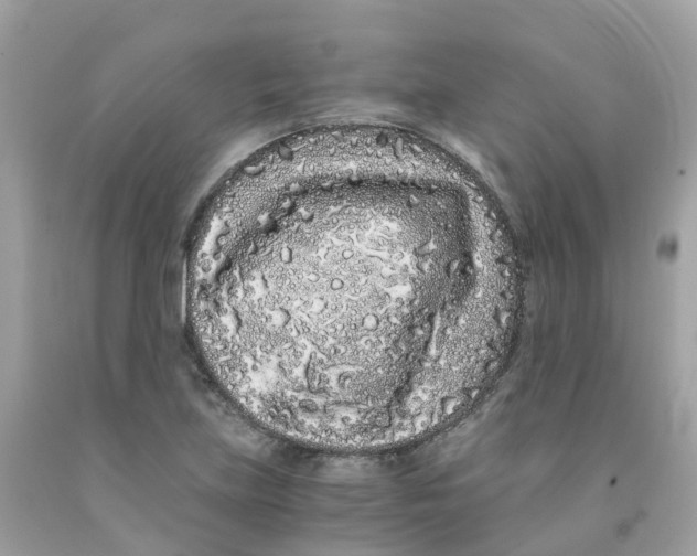 X0000091101219200709041316