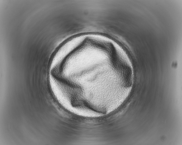 X0000091101220200709041316