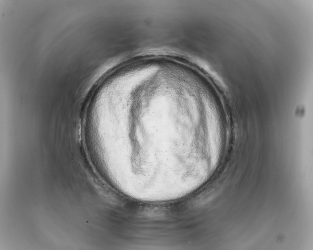 X0000091101221200709041316