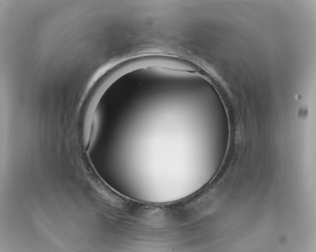 X0000091101222200709041316