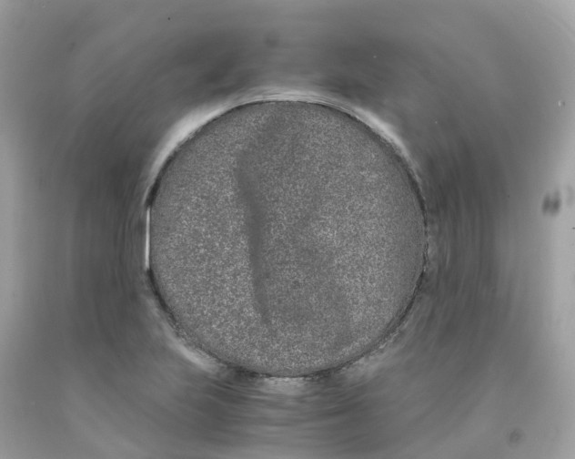 X0000091101223200709041316