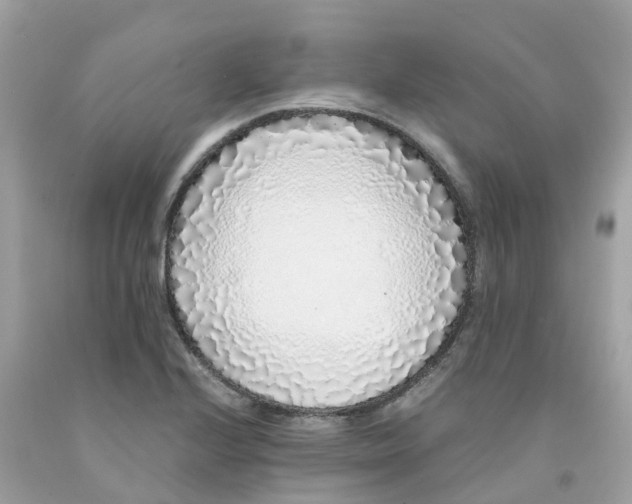 X0000091101224200709041316