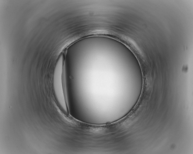 X0000091101225200709041316