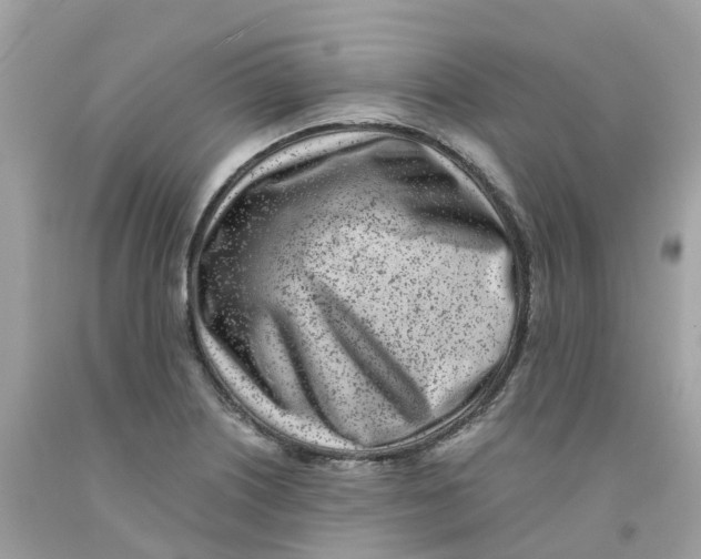 X0000091101226200709041316