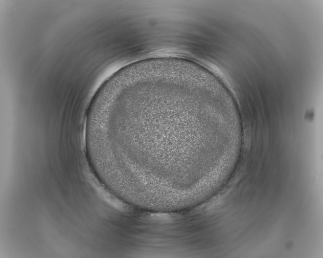 X0000091101227200709041316