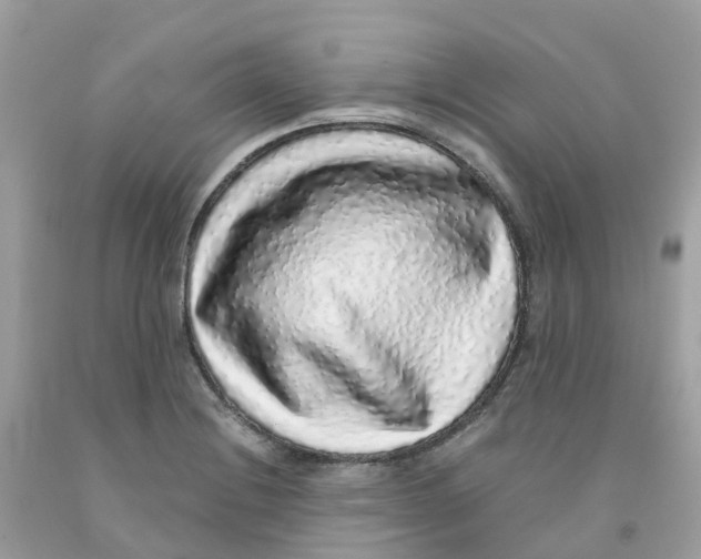 X0000091101228200709041316