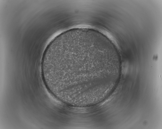 X0000091101229200709041316