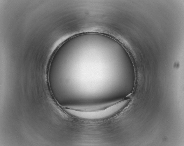 X0000091101230200709041316