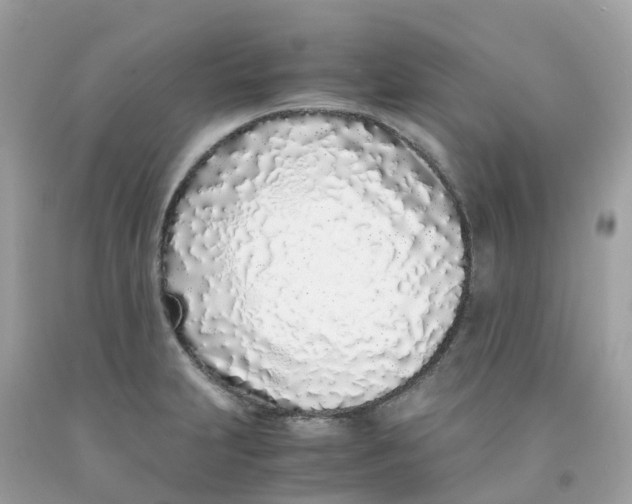 X0000091101231200709041316