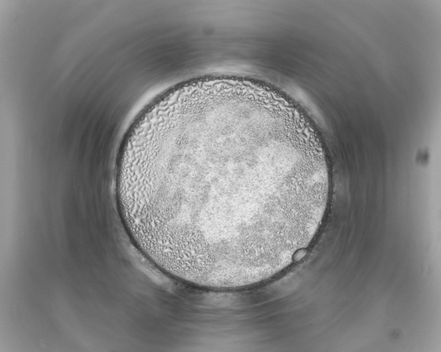 X0000091101232200709041316