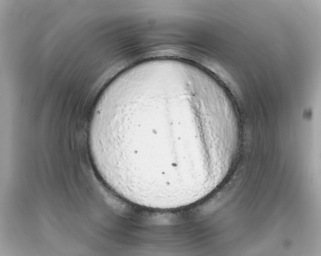 X0000091101233200709041316