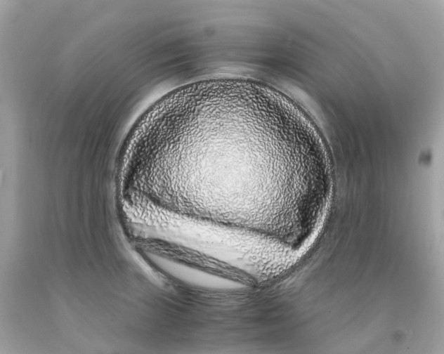 X0000091101235200709041316