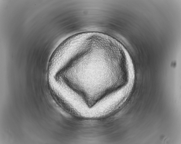 X0000091101236200709041316