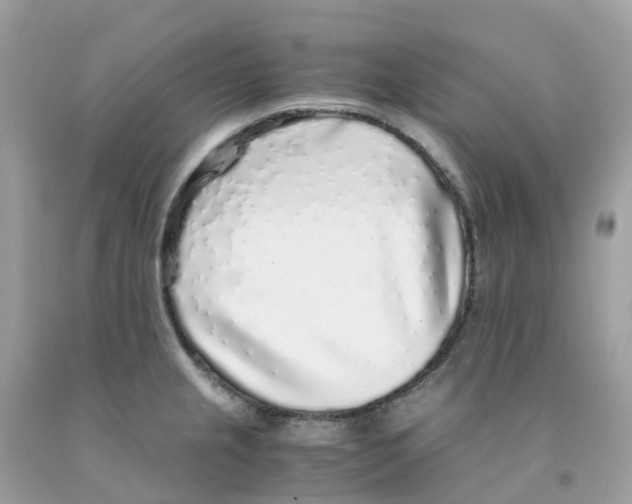 X0000091101237200709041316