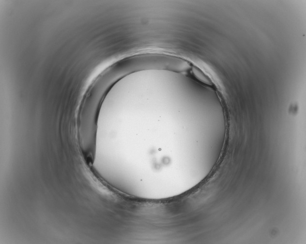 X0000091101238200709041316