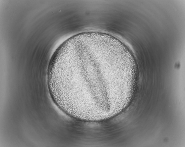 X0000091101239200709041316