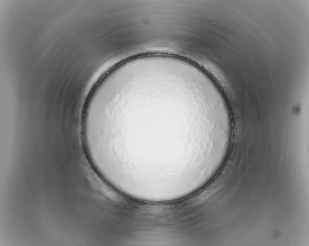 X0000091101240200709041316