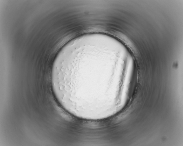 X0000091101241200709041316