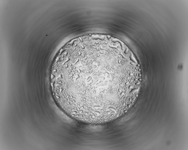 X0000091101243200709041316