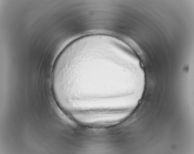 X0000091101244200709041316