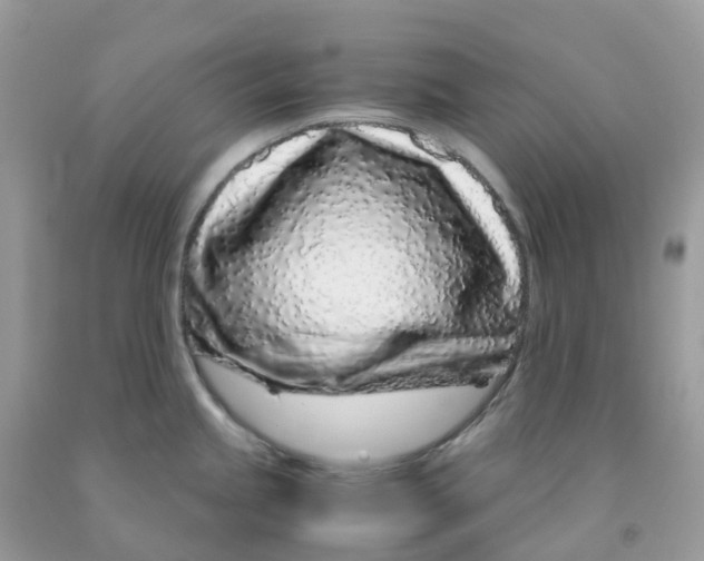 X0000091101245200709041316