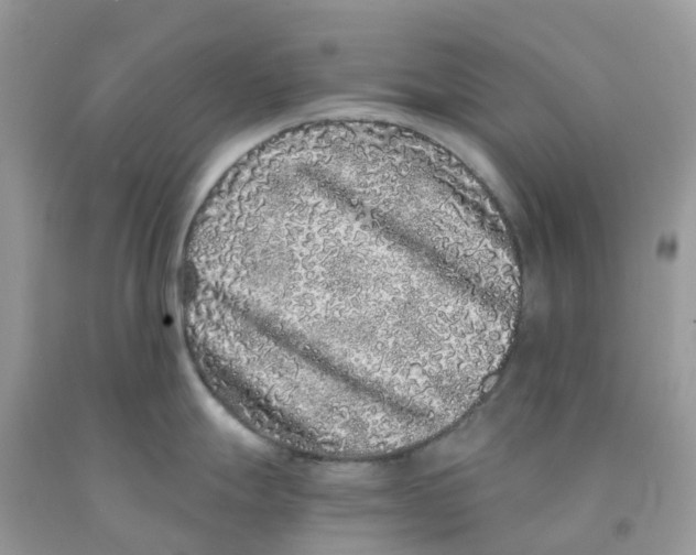 X0000091101247200709041316