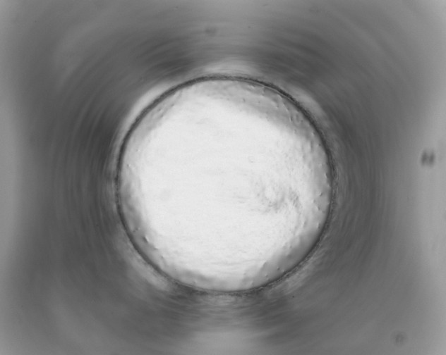 X0000091101248200709041316