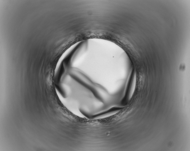 X0000091101250200709041316