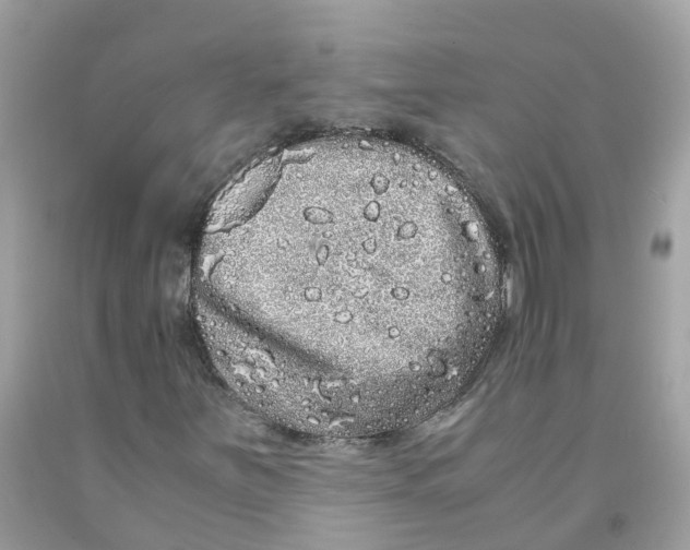 X0000091101251200709041316