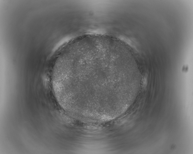 X0000091101254200709041316