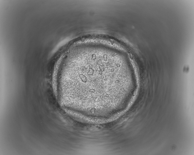 X0000091101255200709041316